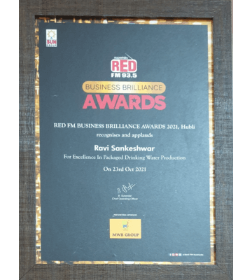 Business Brilliance Award